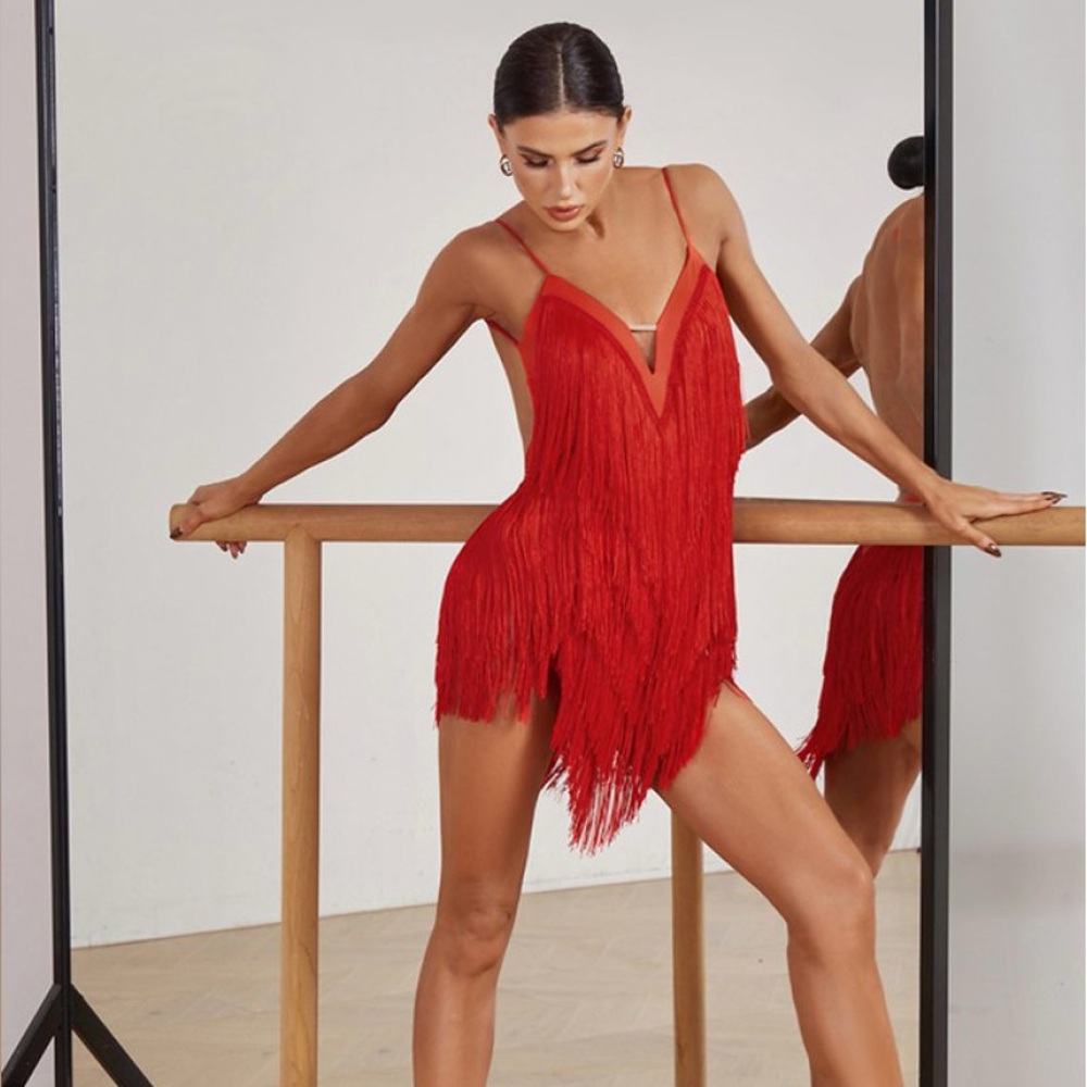 ZYN Latin Fringe Dance Costume
